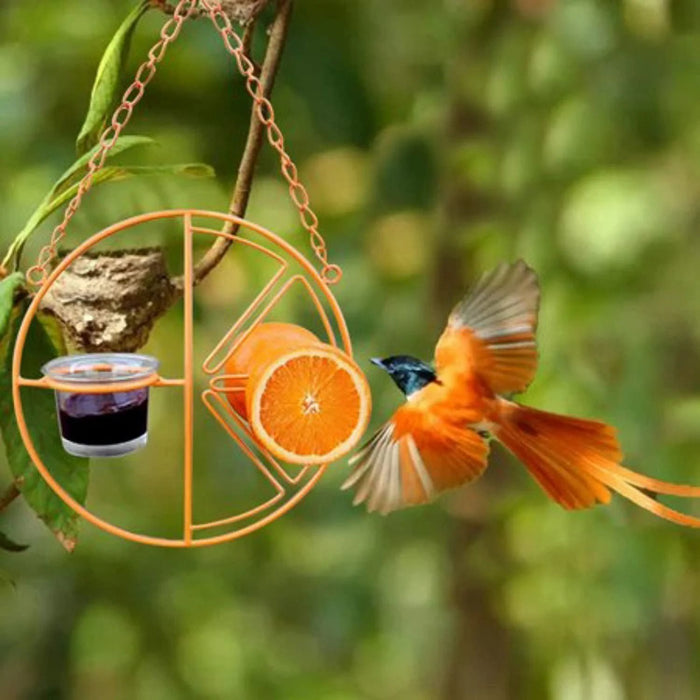 🔥HOT SALE NOW 49% OFF 🎁 -2-in-1 hanging hummingbird oriole feeder