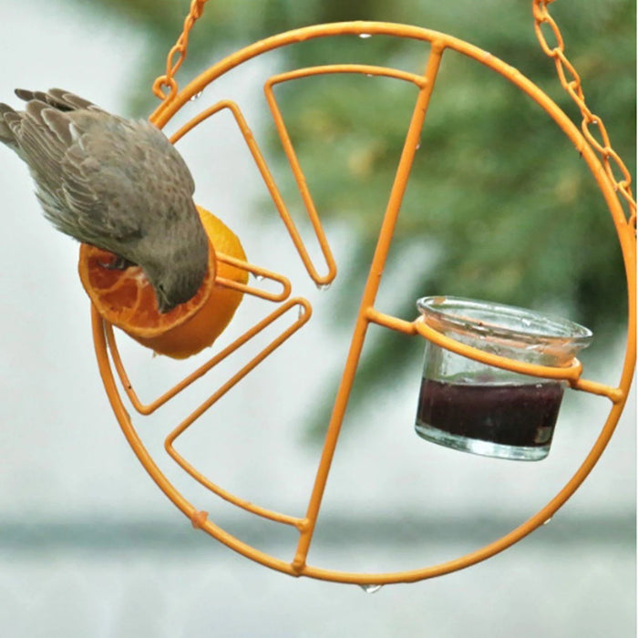 🔥HOT SALE NOW 49% OFF 🎁 -2-in-1 hanging hummingbird oriole feeder