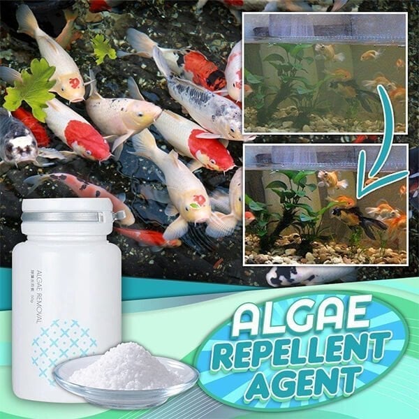 🔥HOT SALE NOW 49% OFF 🎁 - 🌺NEW Algae Repellent Agent