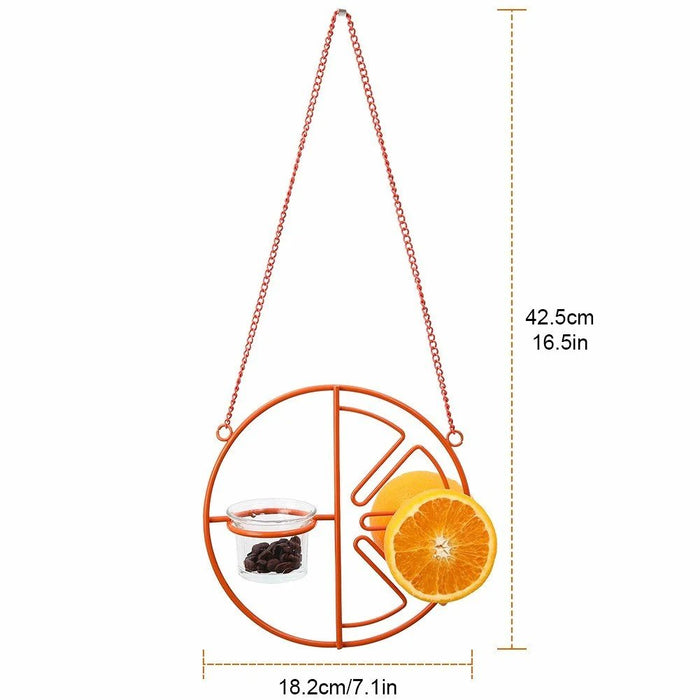 🔥HOT SALE NOW 49% OFF 🎁 -2-in-1 hanging hummingbird oriole feeder